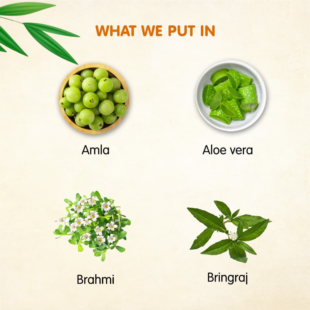 Ayurvedic Hair Tonic for strong and soft hair - Image 4